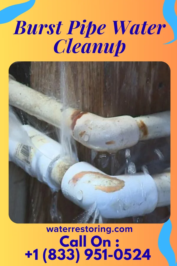 Burst Pipe Water Cleanup in Hicksville, OH