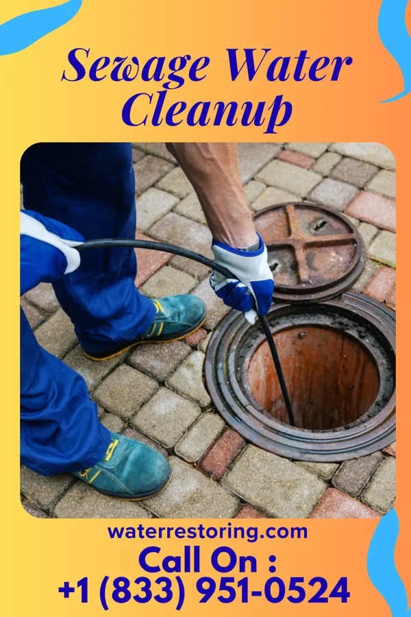 Sewage Water Cleanup in Hicksville, OH